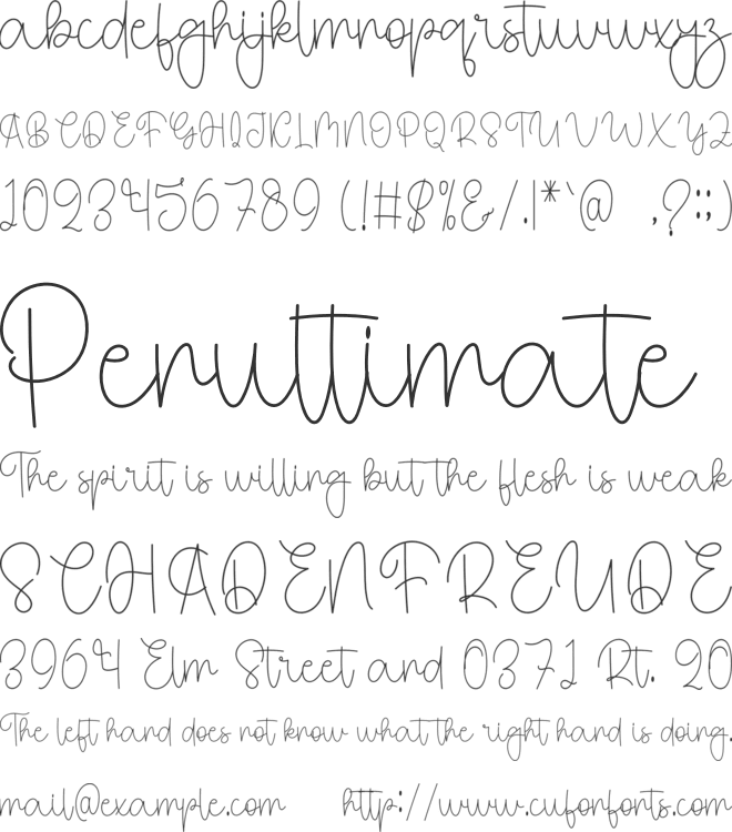 Together Signature font preview