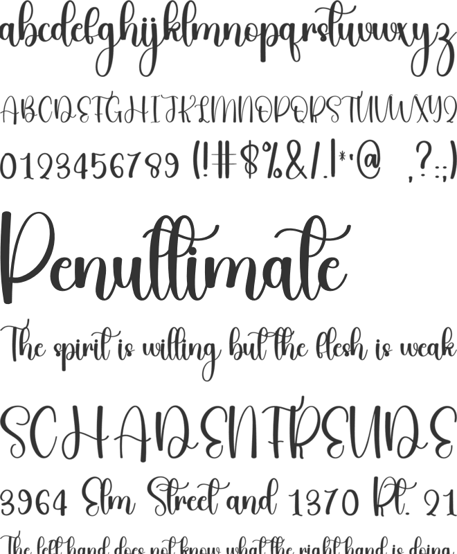 Perfect Birthday font preview