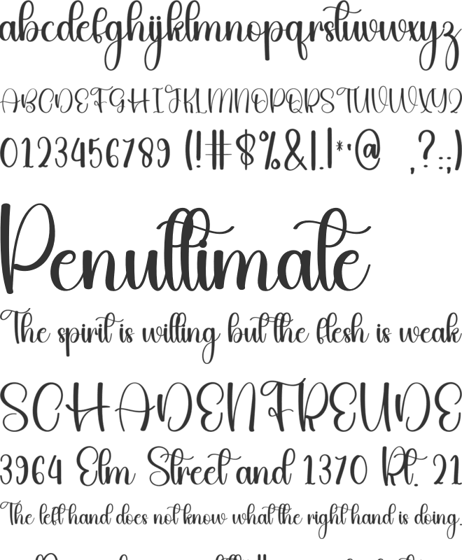 Winter Maddison font preview