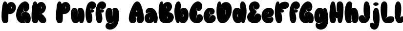 PGR Puffy font download
