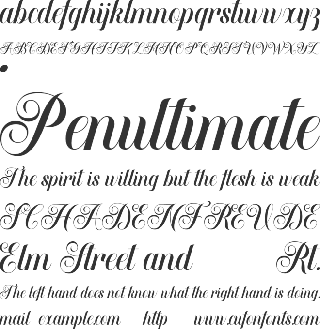BESTIRA SCRIPT font preview