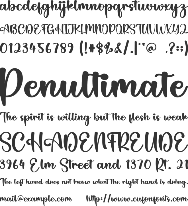 Spicy Chips font preview