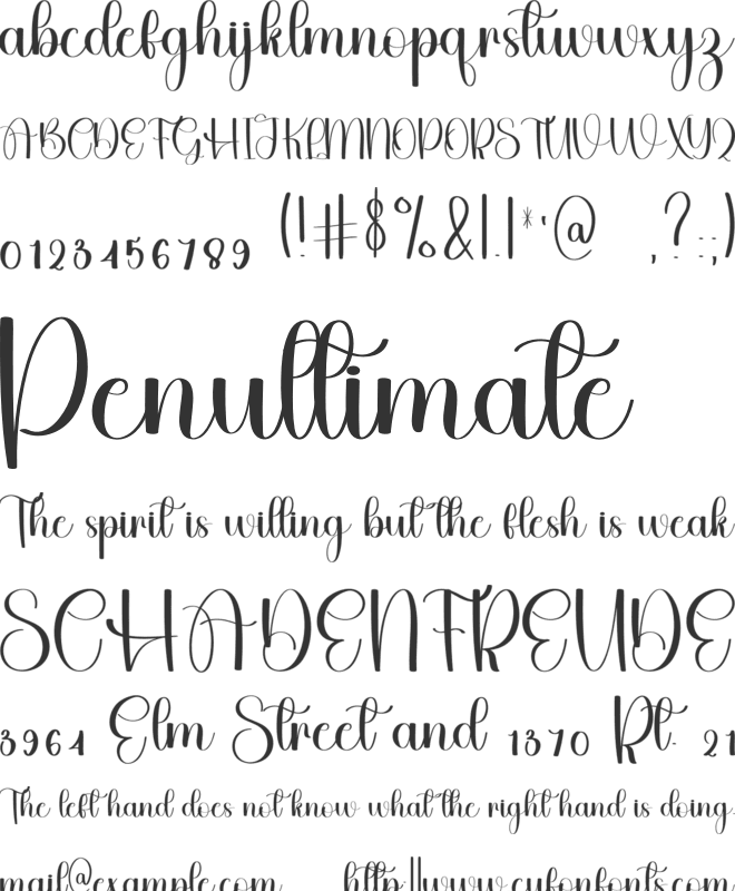 Bedding font preview