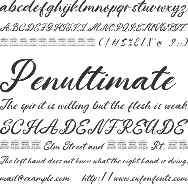 Panile Beach font preview