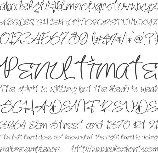 Midnight Script font preview