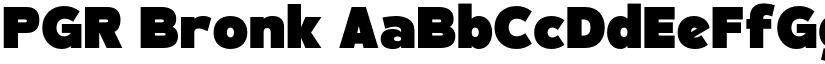 PGR Bronk font