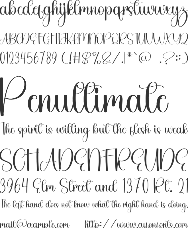 Siblings Wonderful font preview