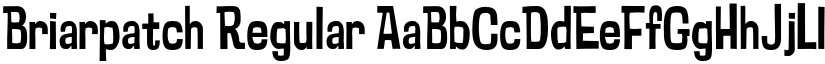 Briarpatch Regular font