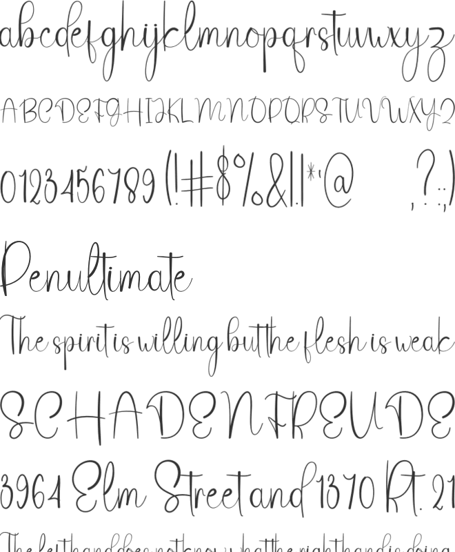 Magnitudo font preview