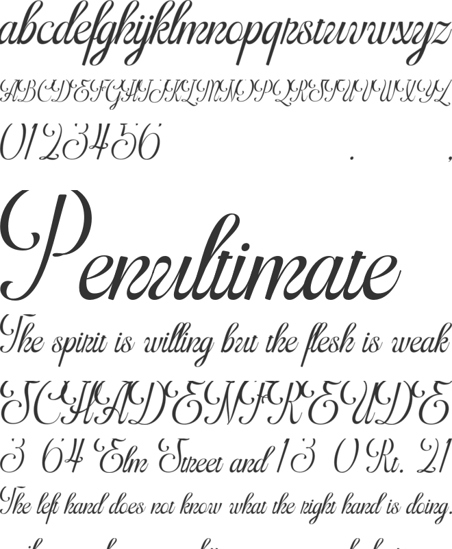 Bocthira Majesthique font preview