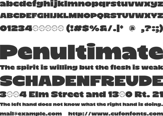 Ziren Bold Font font preview