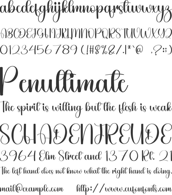 Cataline Signature font preview