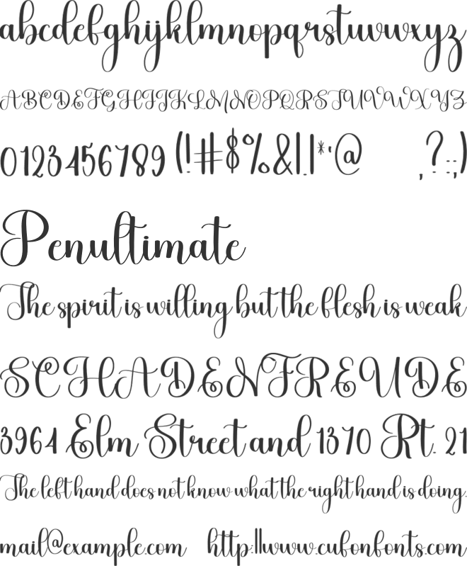 Maddison font preview