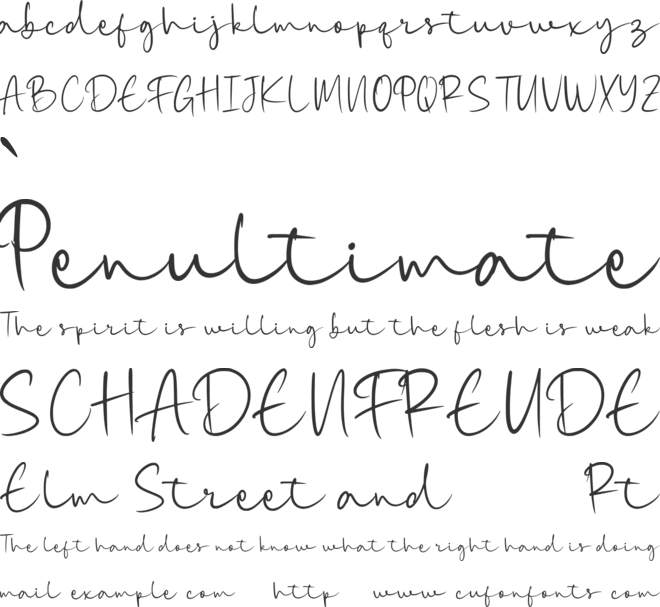 Sunday Holly font preview