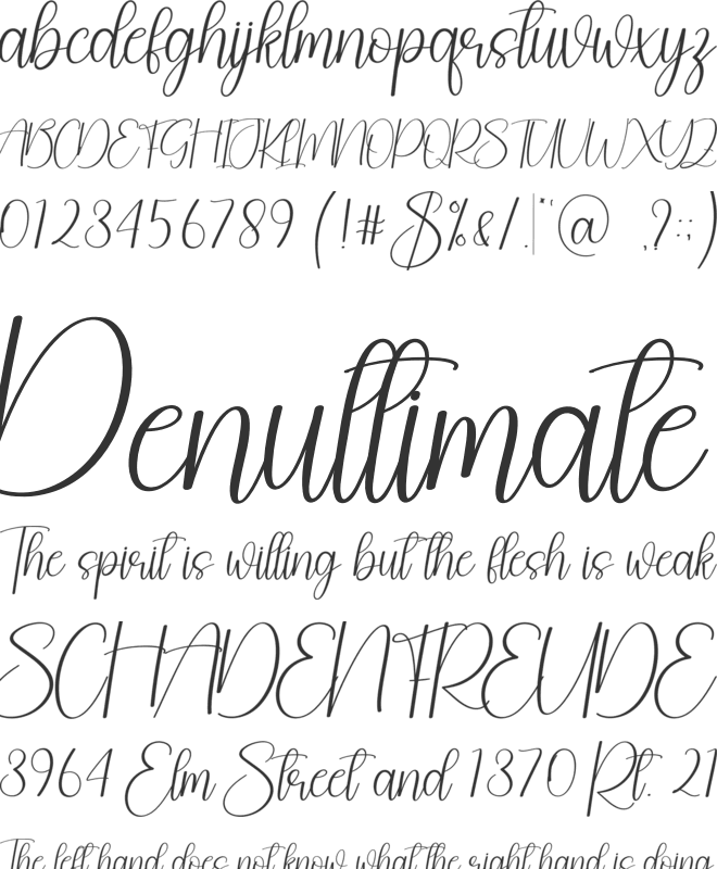 January font preview