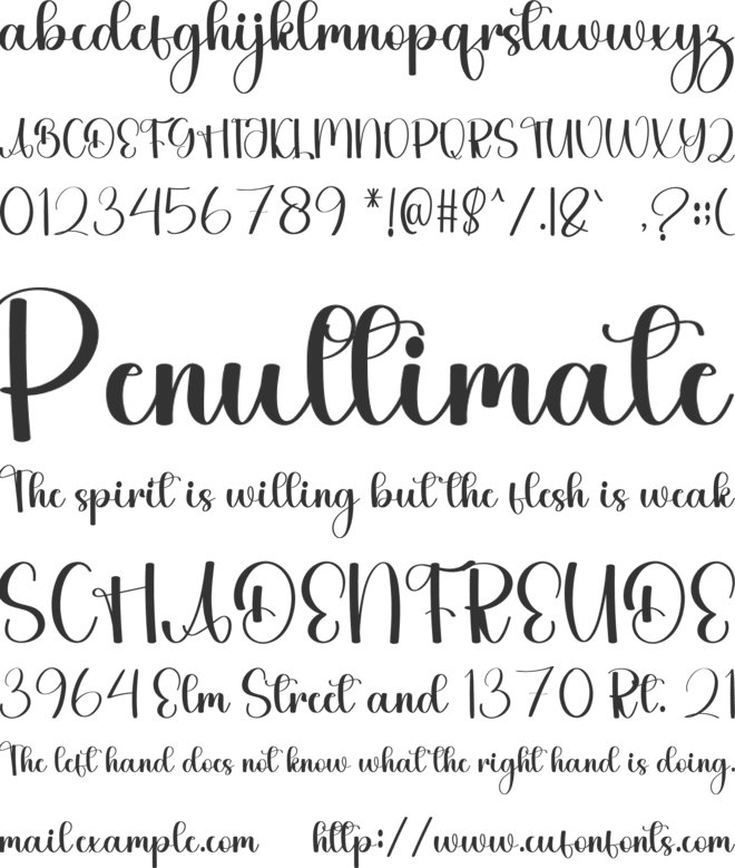 Bride Delightful font preview