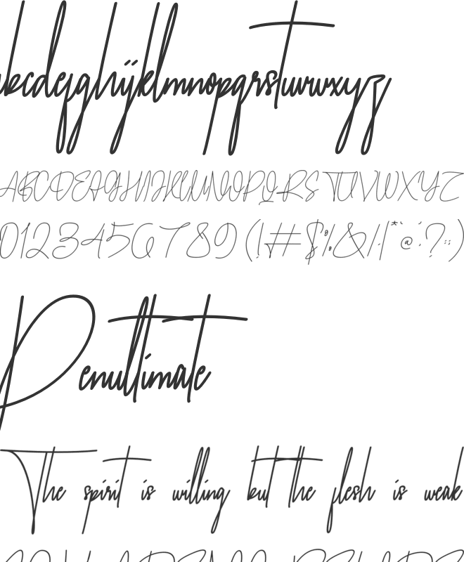 Maltoray Slant font preview