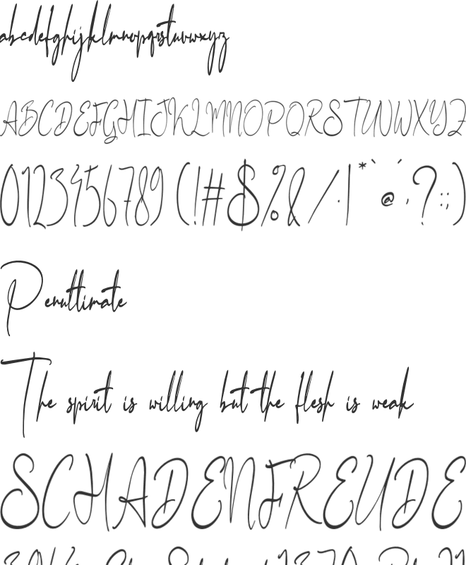 Bansteny Wissdom font preview