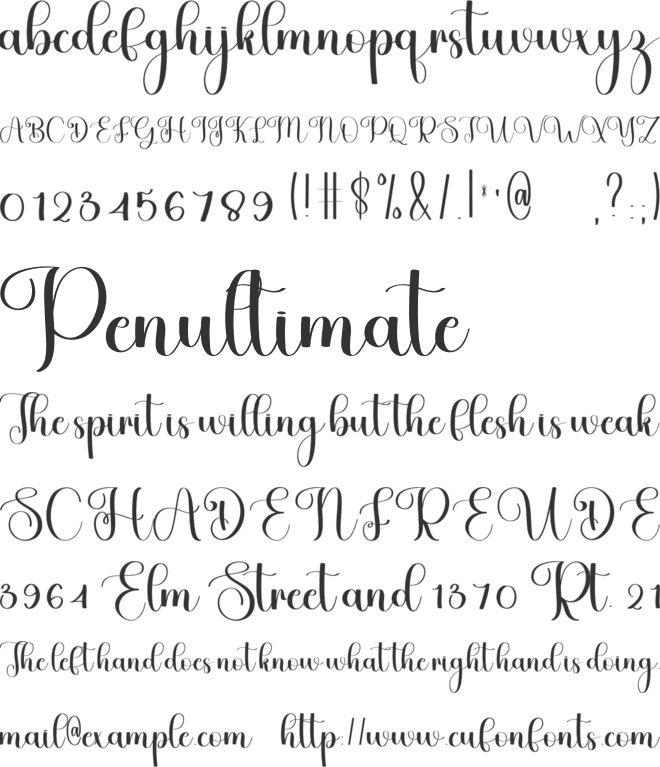Vintage Girly font preview
