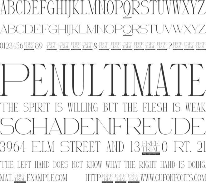 Royalena font preview