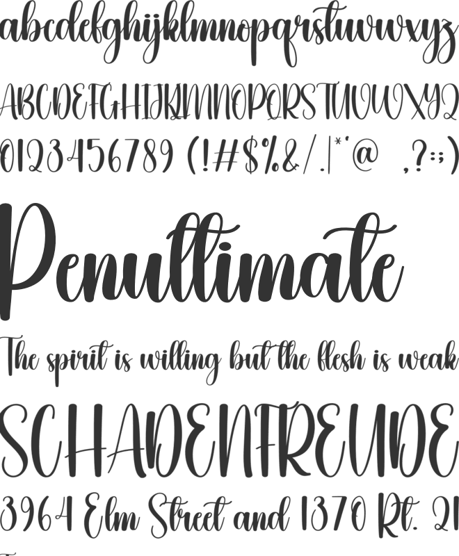 Monday font preview