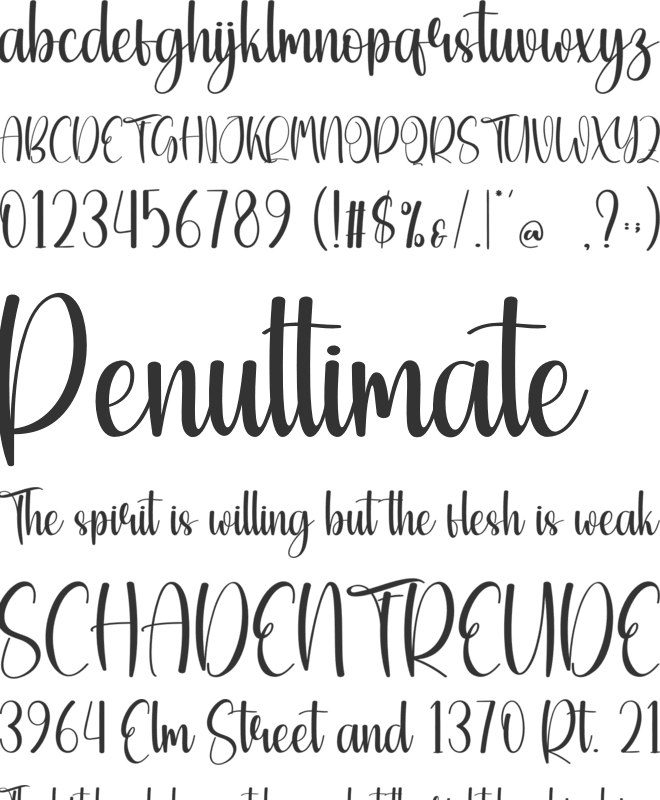 Quality Modern font preview