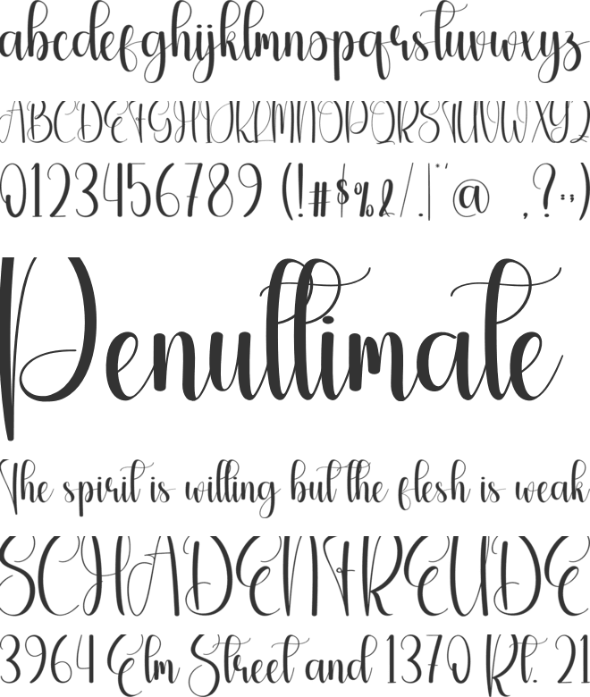 Monday Quality font preview