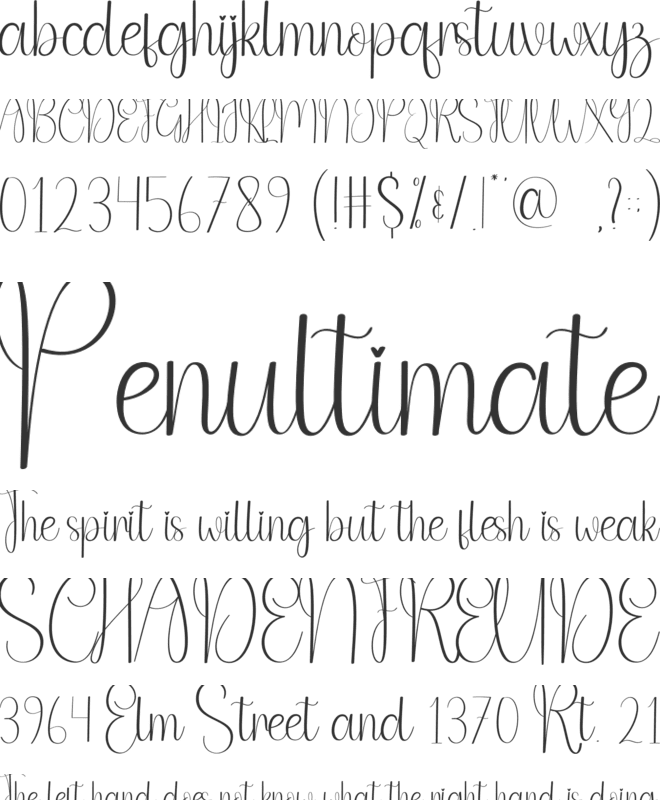 Sublimation font preview