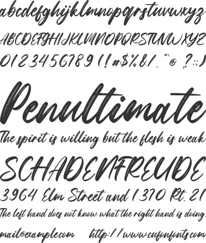 Snowberry Brush font preview