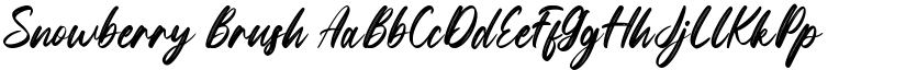 Snowberry Brush font