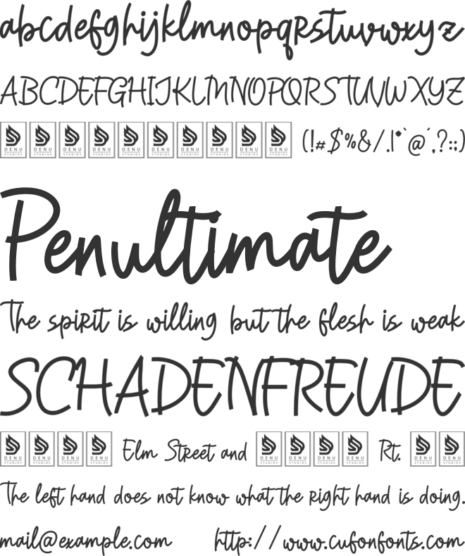 Rapika Logical font preview