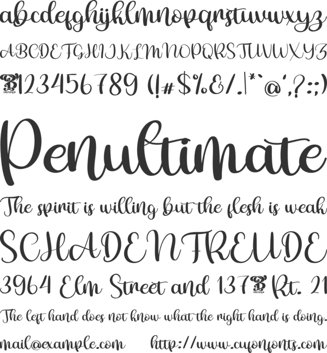 New Christmas Two font preview