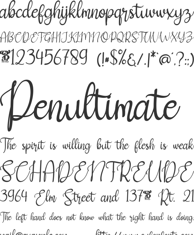 New Christmas one font preview