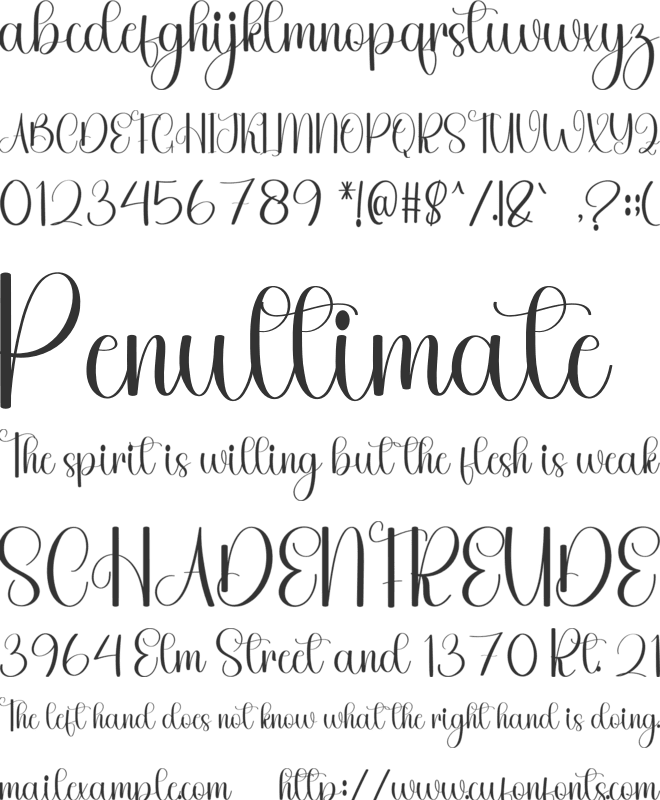 Camping Wedding font preview