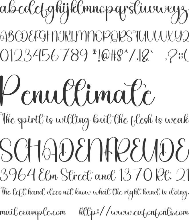 American Beautiful font preview