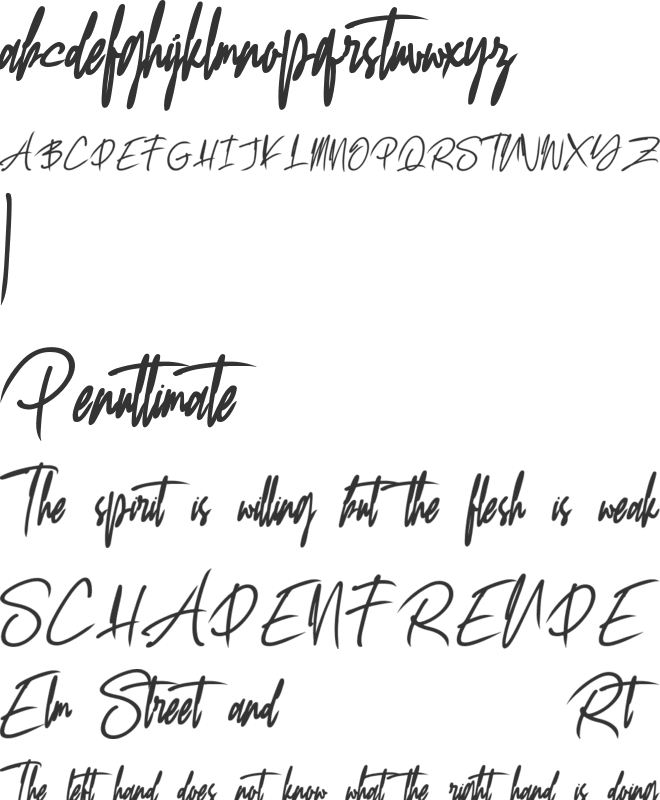 Qonttany font preview