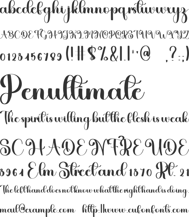 Jungle Animal font preview