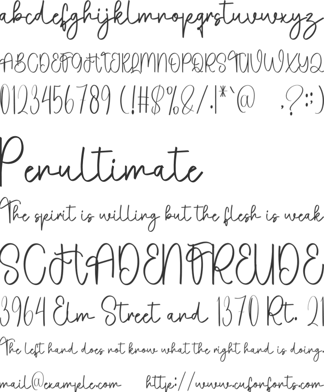 Tropical Camping font preview