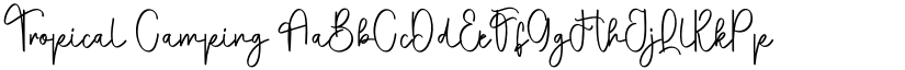 Tropical Camping font download