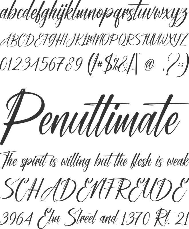 Miracle Signature font preview