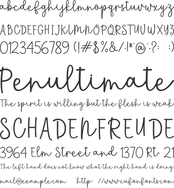 Chanda font preview
