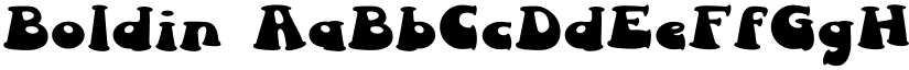 Boldin font