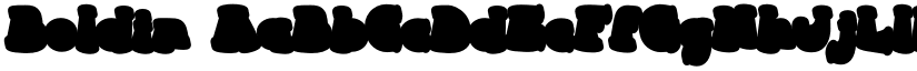 Boldin font