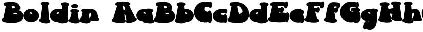 Boldin font