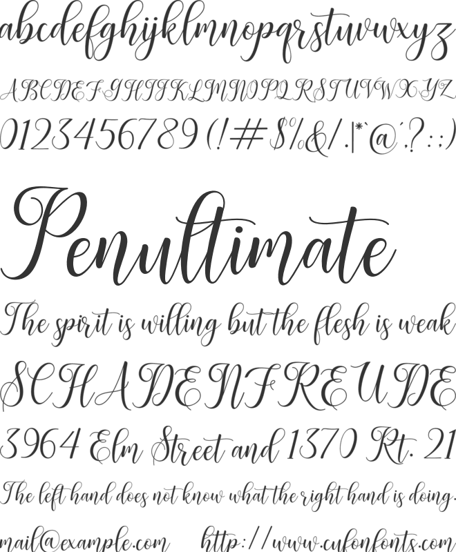 Leisha Script font preview
