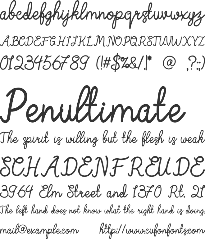 Delicate Journal font preview