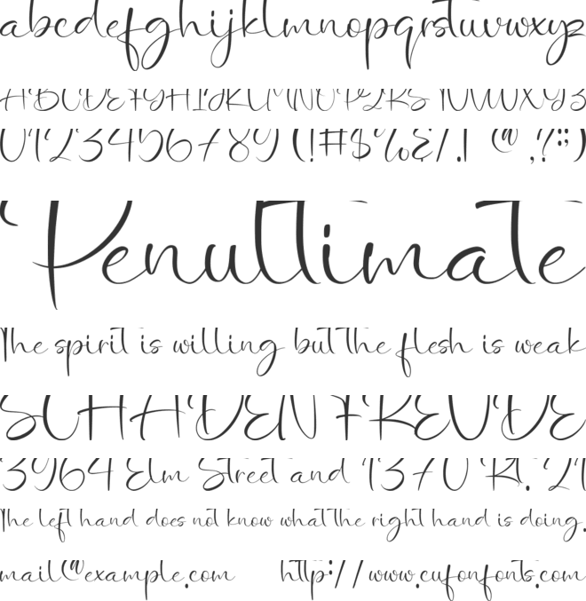 Wedding Bliss-Personal use font preview