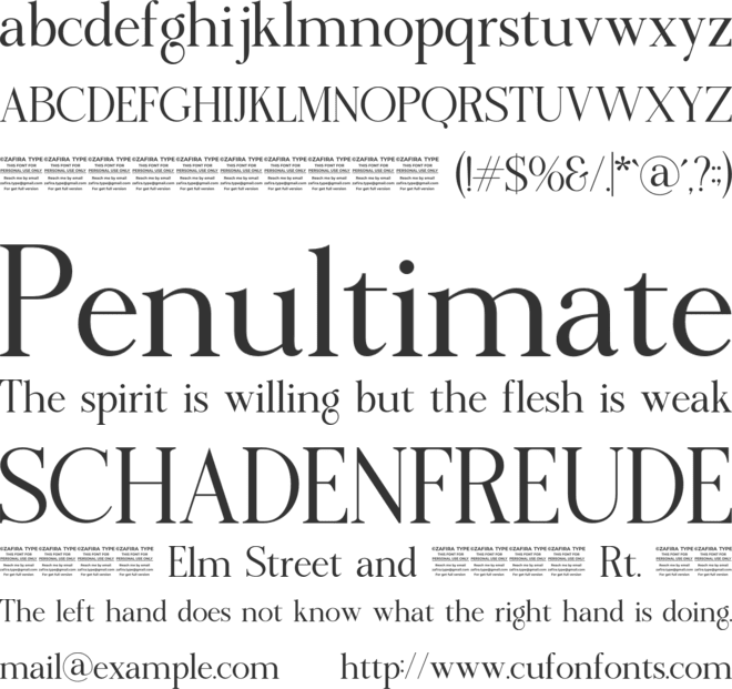 Fiorena font preview