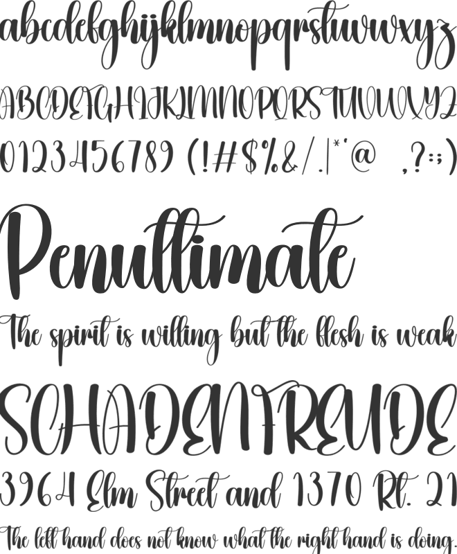 Winter Charming font preview