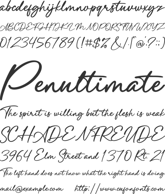 Palloma Signature font preview